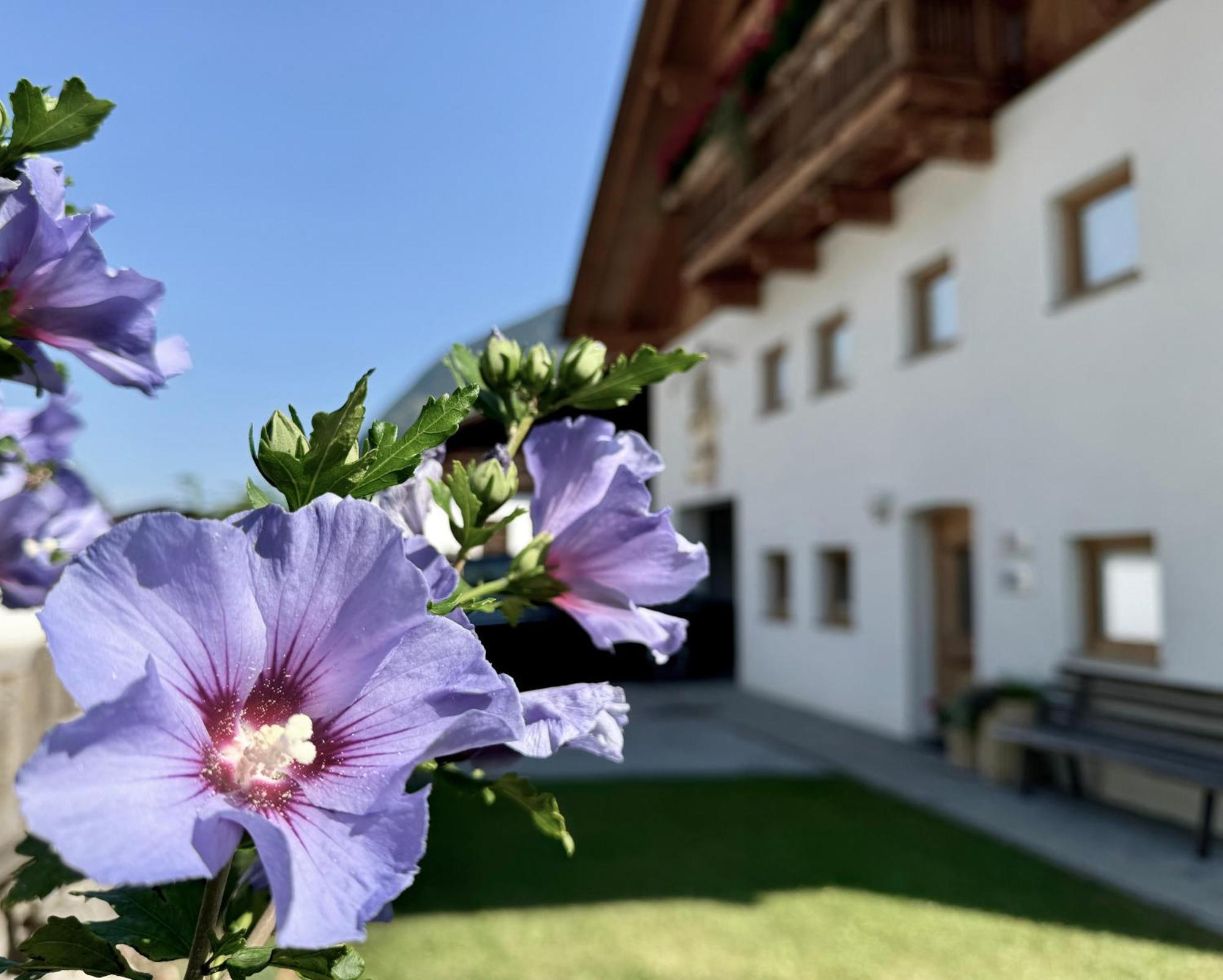 Landhaus Waldhart Umhausen Εξωτερικό φωτογραφία